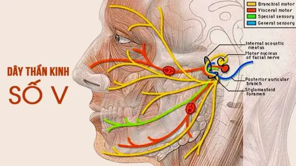 Một buổi trị liệu kéo dài bao lâu?